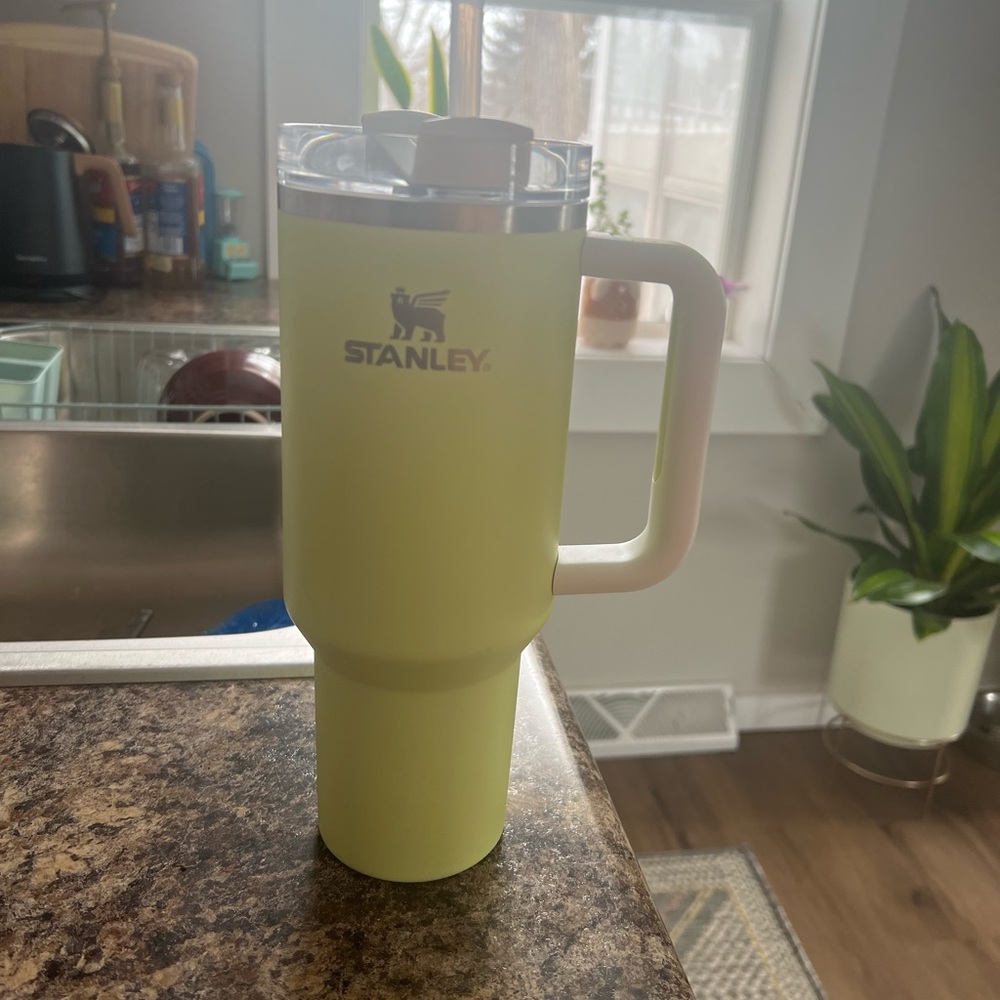 Stanley Quencher 40oz